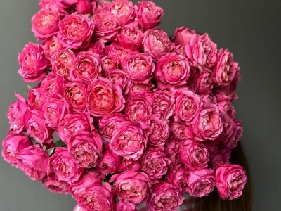 Кустовые пионовидные розы Джульетта в монобукете