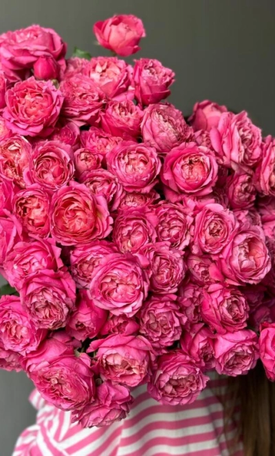 Кустовые пионовидные розы Джульетта в монобукете