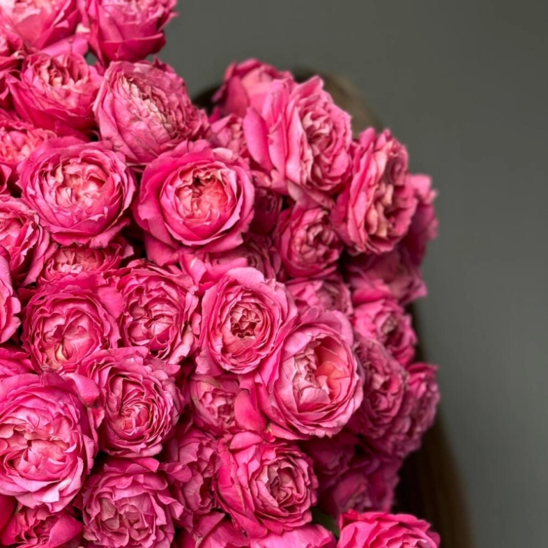 Кустовые пионовидные розы Джульетта в монобукете