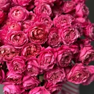 Кустовые пионовидные розы Джульетта в монобукете 2