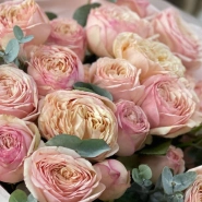 Пионовидные кустовые розы Tendresse 3