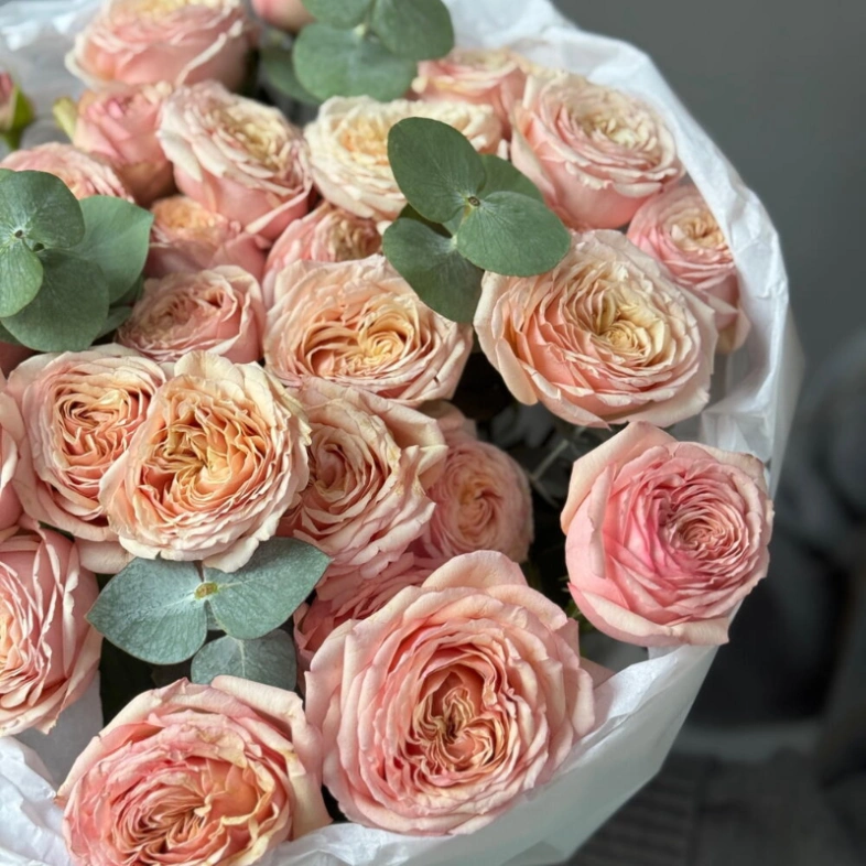 Пионовидные кустовые розы Tendresse