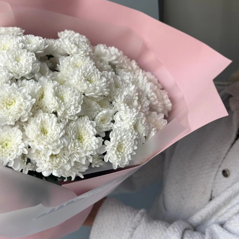 Монобукет хризантем кустовых 11 🤍