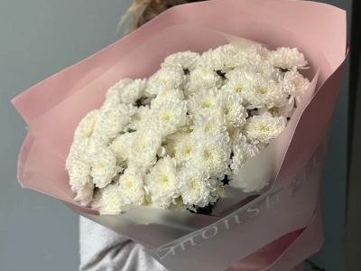 Монобукет хризантем кустовых 11 🤍