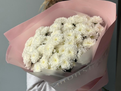 Монобукет хризантем кустовых 11 🤍