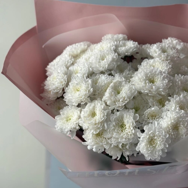 Монобукет хризантем кустовых 11 🤍