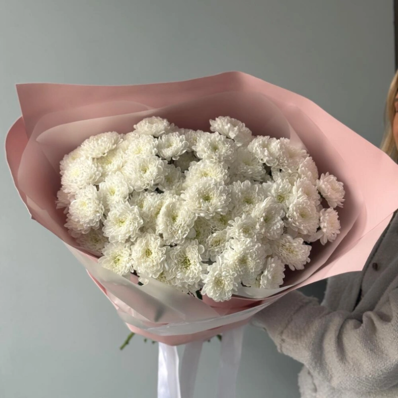 Монобукет хризантем кустовых 11 🤍