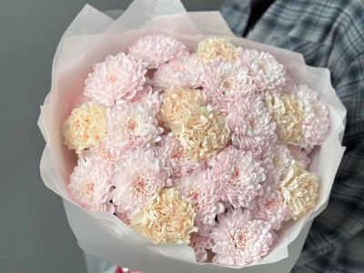 Букет «Самый стойкий» из хризантем и диантусов