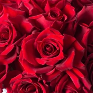 Композиция из 21 красной розы 4