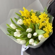 Авторский букет из весеннего сочетания мимозы и тюльпанов 0