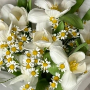 Ромашки и тюльпаны белые 4
