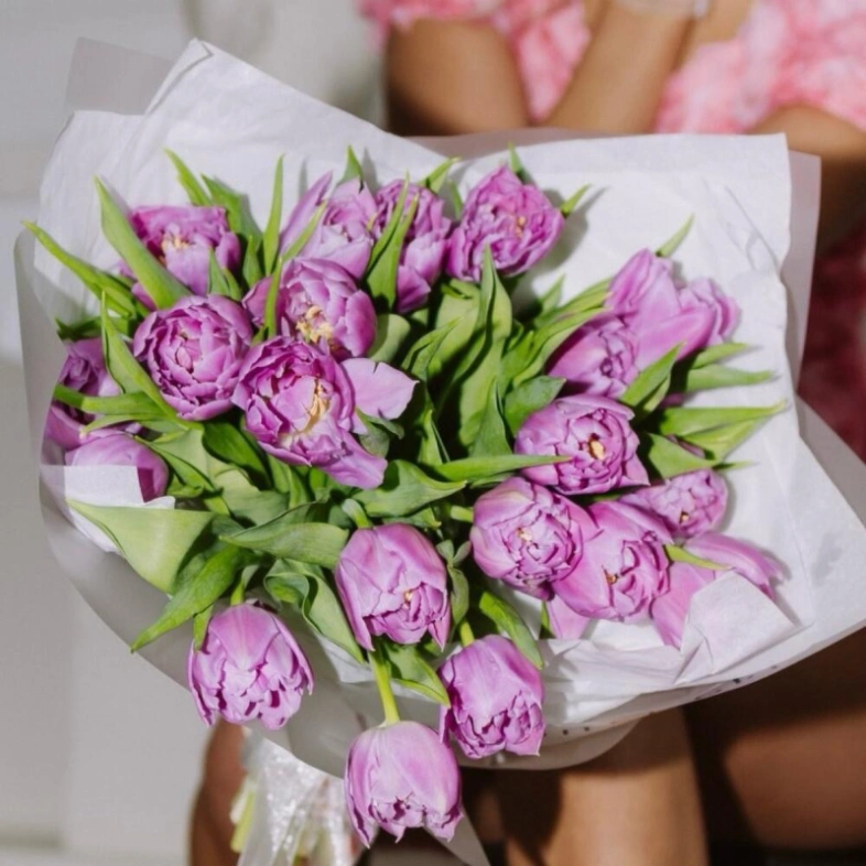 Моно тюльпанов лавандовых 21