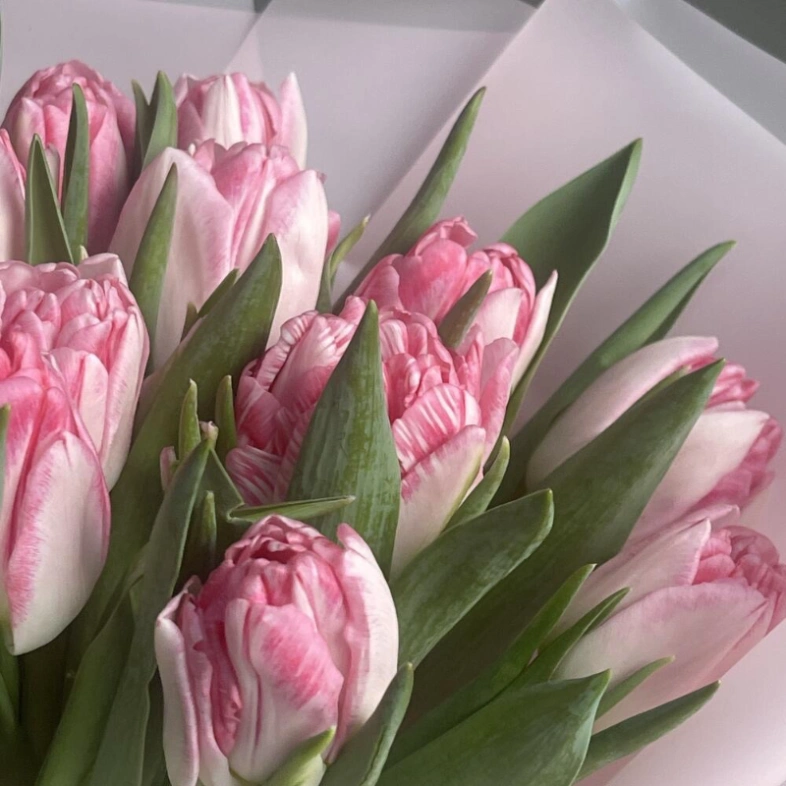 Букет с шикарными тюльпанами 15 шт