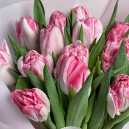 Букет с шикарными тюльпанами 15 шт 3
