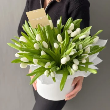 Композиция из 51 белого тюльпана в шляпной коробке