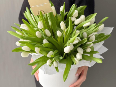 Композиция из 51 белого тюльпана в шляпной коробке