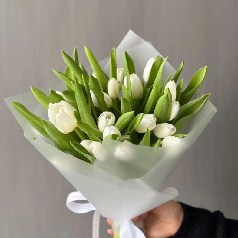 Моно из 25 белоснежных тюльпанов