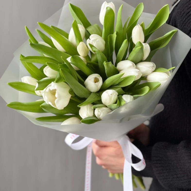 Моно из 25 белоснежных тюльпанов