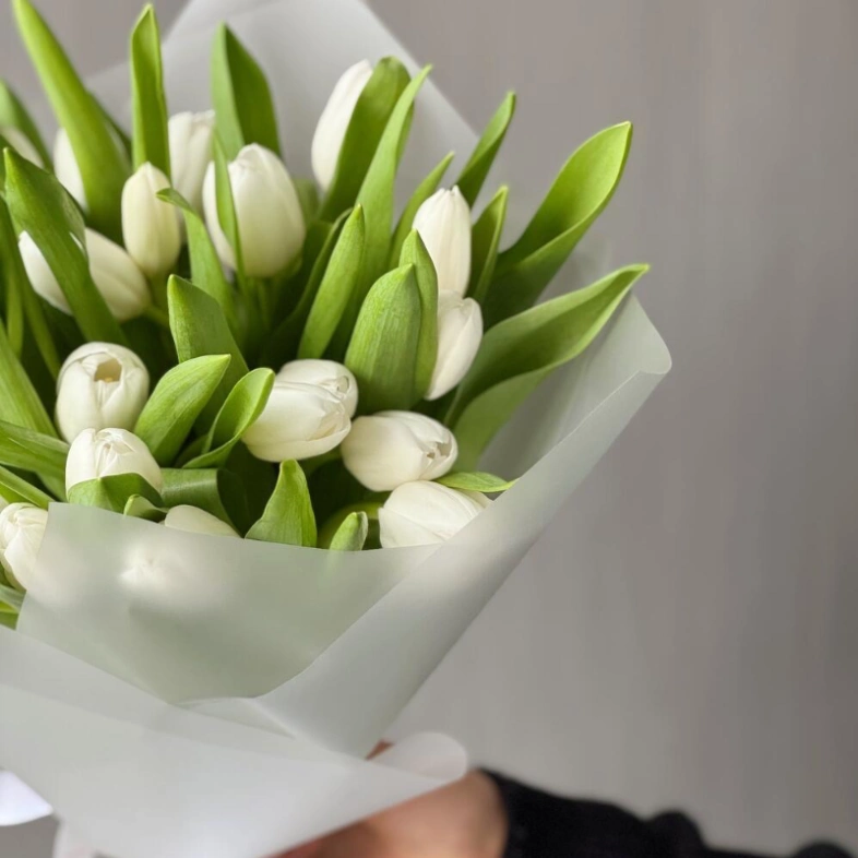 Моно из 25 белоснежных тюльпанов