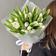 Моно из 25 белоснежных тюльпанов 0