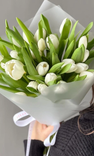 Моно из 25 белоснежных тюльпанов