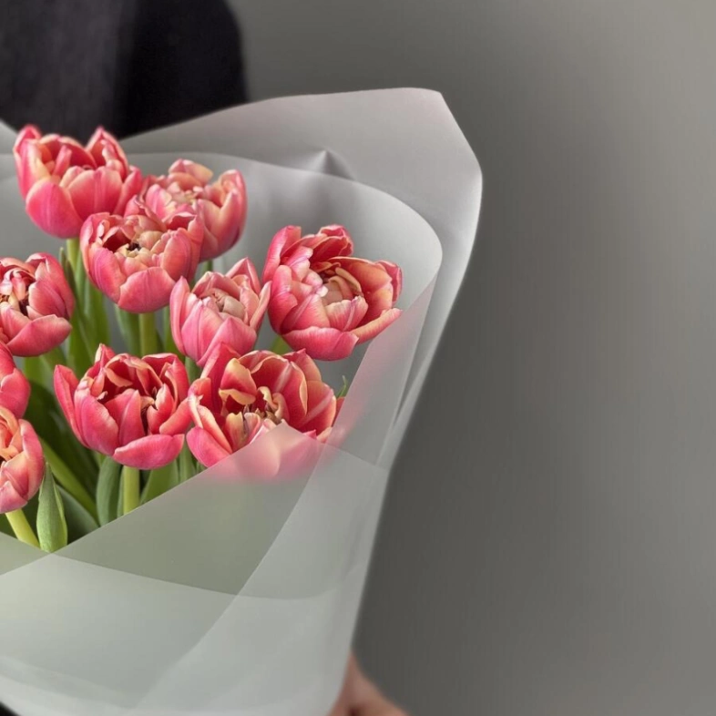 Шикарное моно из пионовидных тюльпанов