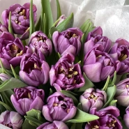 Монобукет из фиолетовых тюльпанов 2