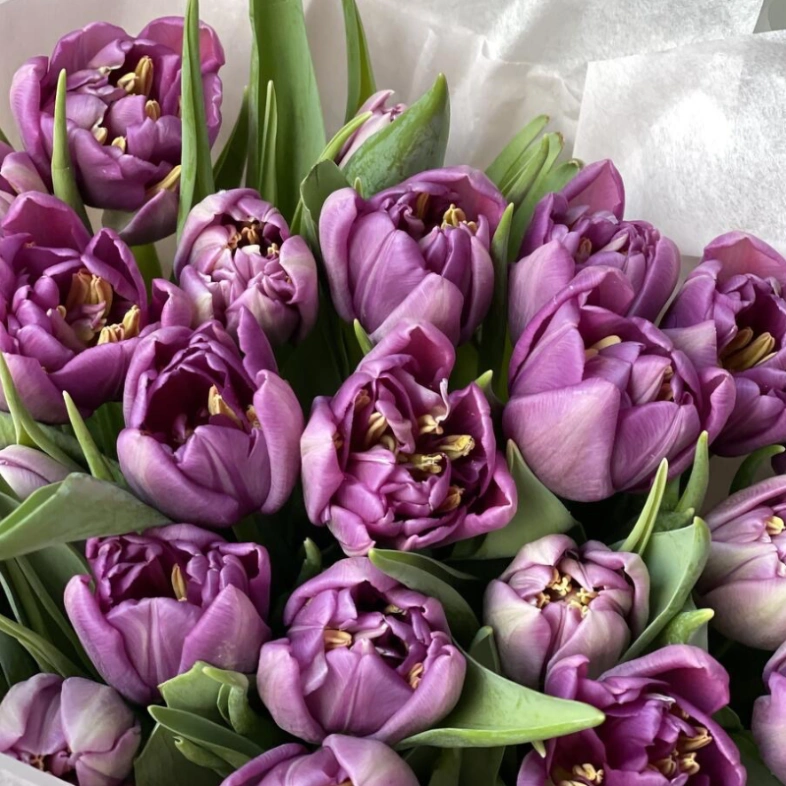 Монобукет из фиолетовых тюльпанов