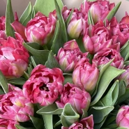 Монобукет из ярко розовых тюльпанов 25 3