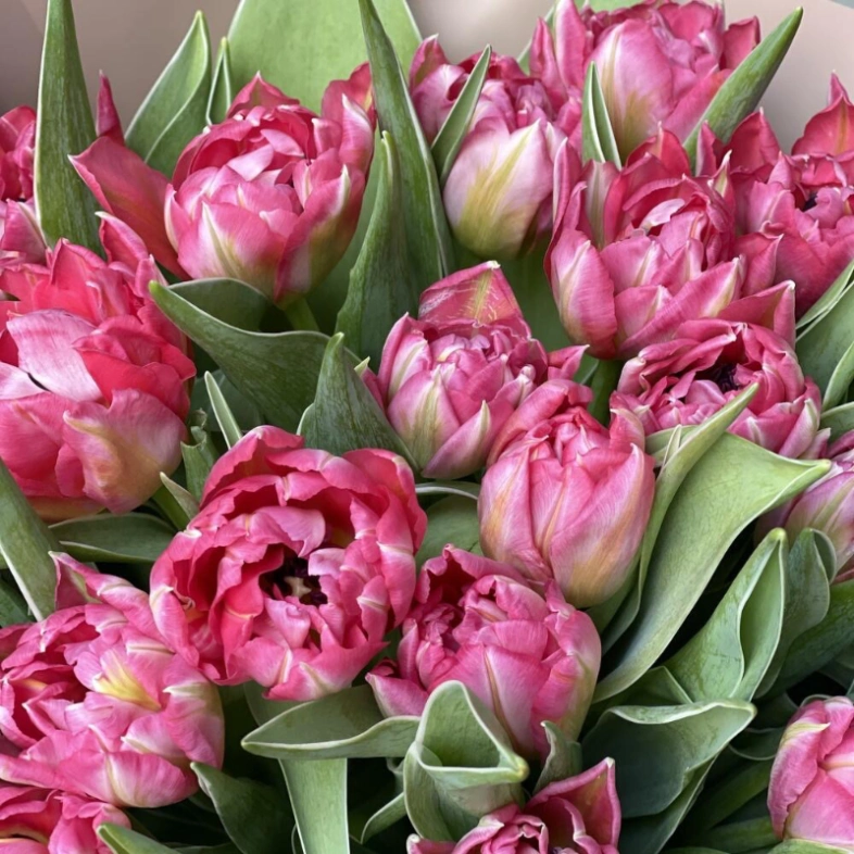 Монобукет из ярко розовых тюльпанов 25