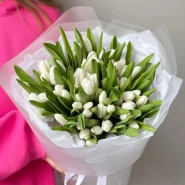 Моно из 51 белоснежного тюльпана 0