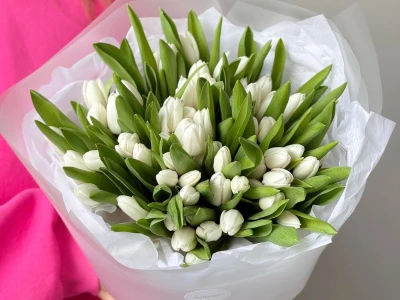 Моно из 51 белоснежного тюльпана