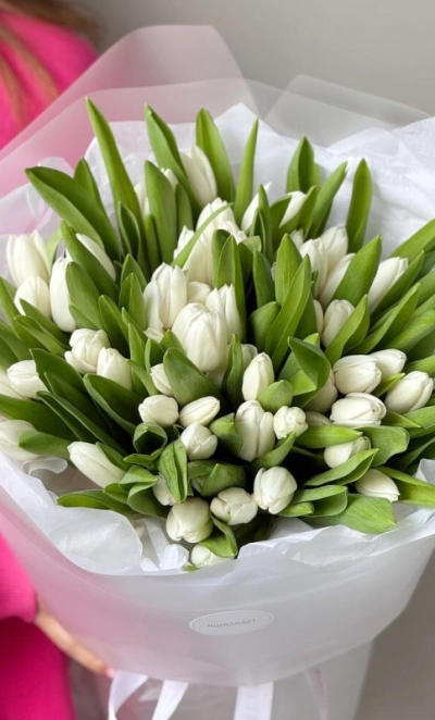Моно из 51 белоснежного тюльпана