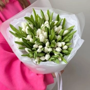 Моно из 51 белоснежного тюльпана 1