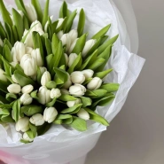 Моно из 51 белоснежного тюльпана 4