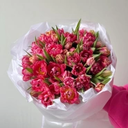 Моно из 51 пионовидного тюльпана 2