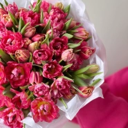 Моно из 51 пионовидного тюльпана 3