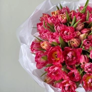 Моно из 51 пионовидного тюльпана 4