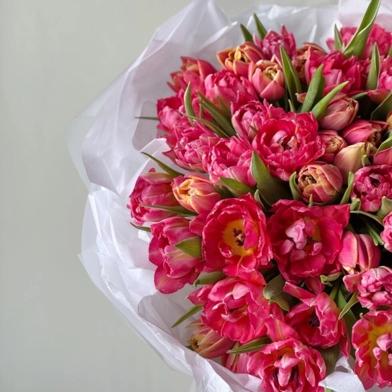 Моно из 51 пионовидного тюльпана