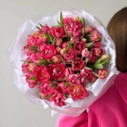 Моно из 51 пионовидного тюльпана 1