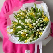 101 тюльпан и мимоза 2