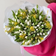 101 тюльпан и мимоза 0