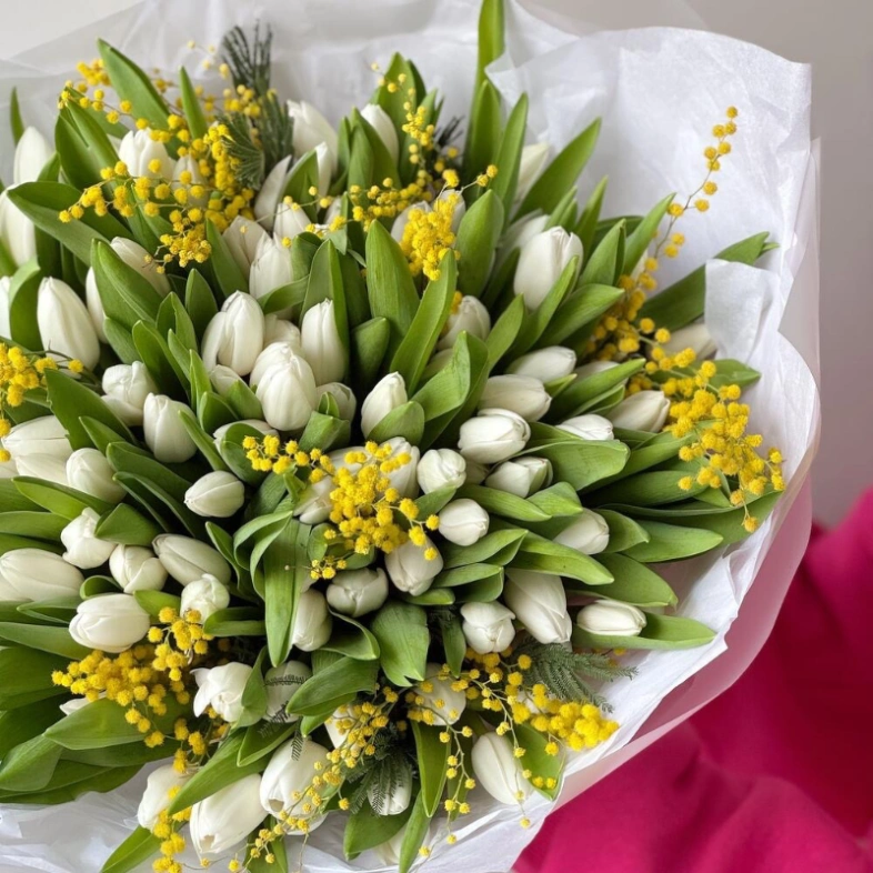 101 тюльпан и мимоза