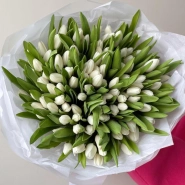 101 белоснежный тюльпан 4