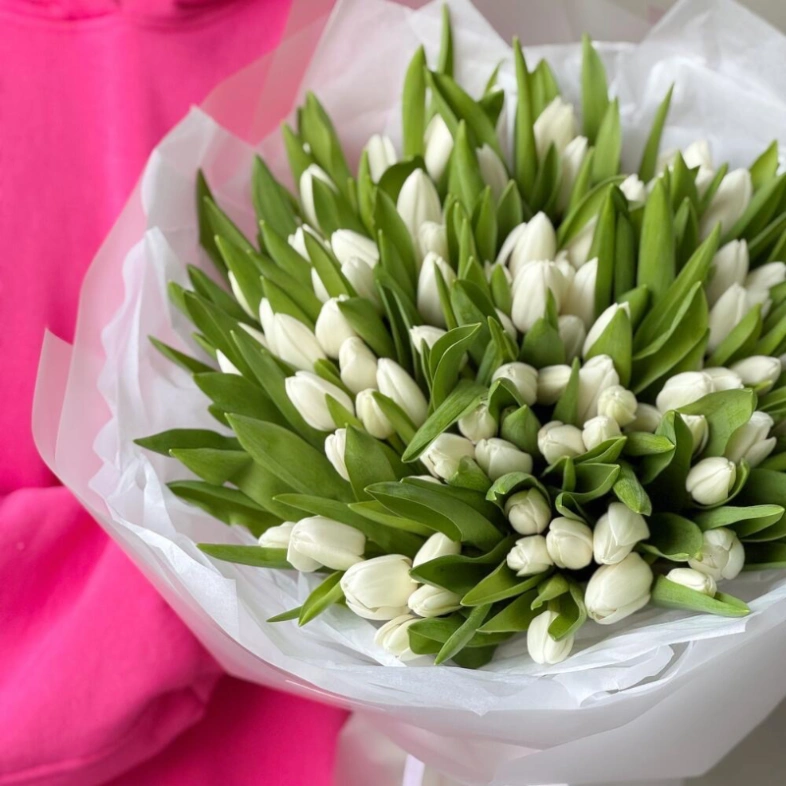 101 белоснежный тюльпан