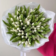 101 белоснежный тюльпан 1