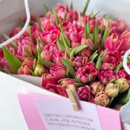 Пионовидные тюльпаны 101 шт 3