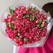 Пионовидные тюльпаны 101 шт 1