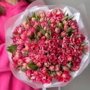 Пионовидные тюльпаны 101 шт 0