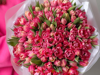 Пионовидные тюльпаны 101 шт
